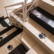 Салон красоты Black cat фото 17 на сайте Sokolinayagora.su
