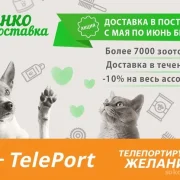 Автоматизированный пункт выдачи TelePort фото 5 на сайте Sokolinayagora.su