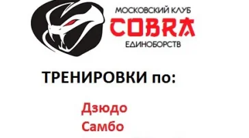 Клуб единоборств Cobra  на сайте Sokolinayagora.su