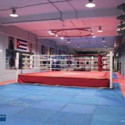 Боксерский клуб Ударник на Большой Семёновской улице фото 7 на сайте Sokolinayagora.su